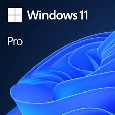 windows 11 pro - Standalone or Addon